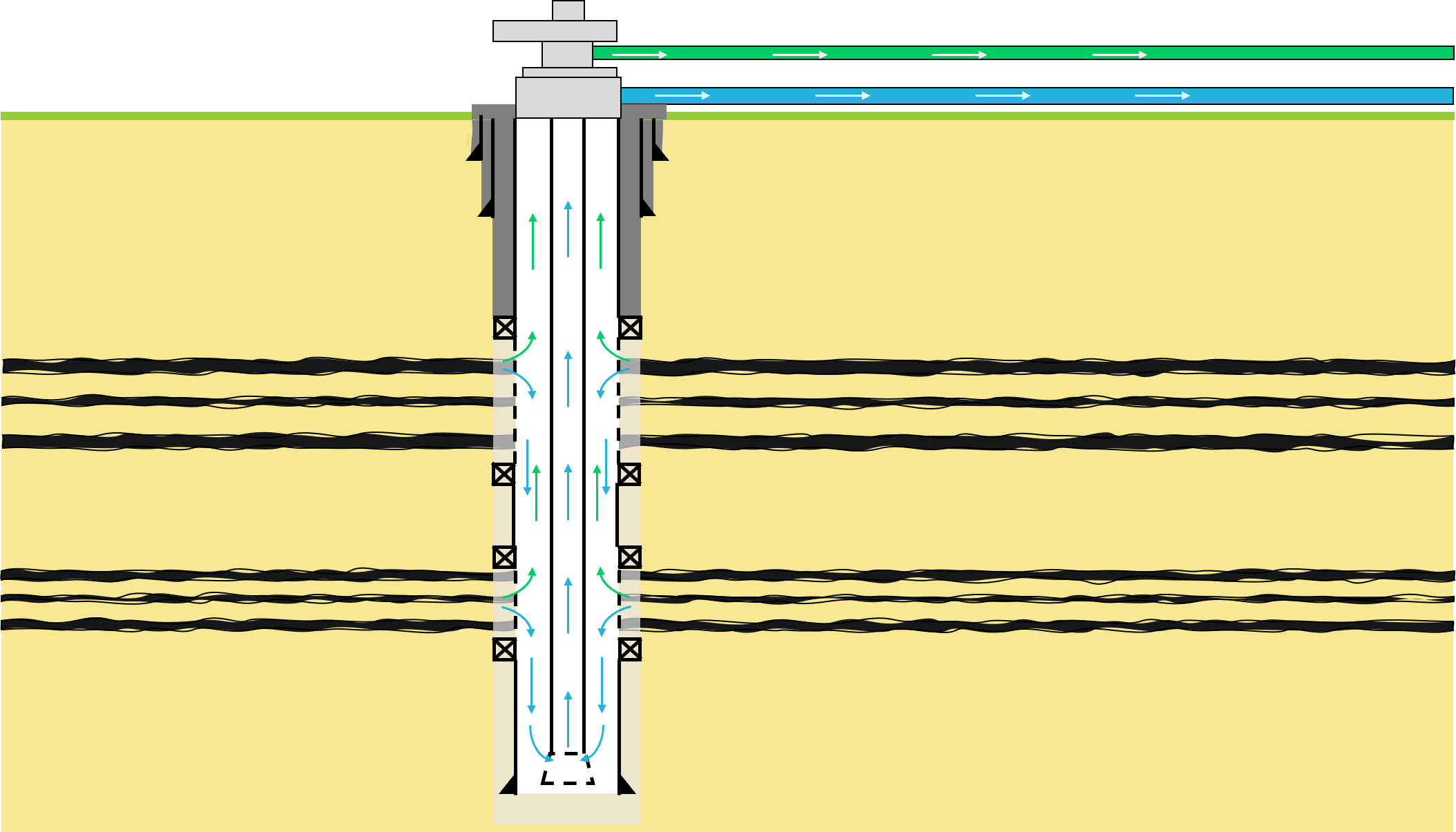 Coal seam gas open hole slotted liner completion diagram.